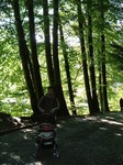 Tierpark.jpg